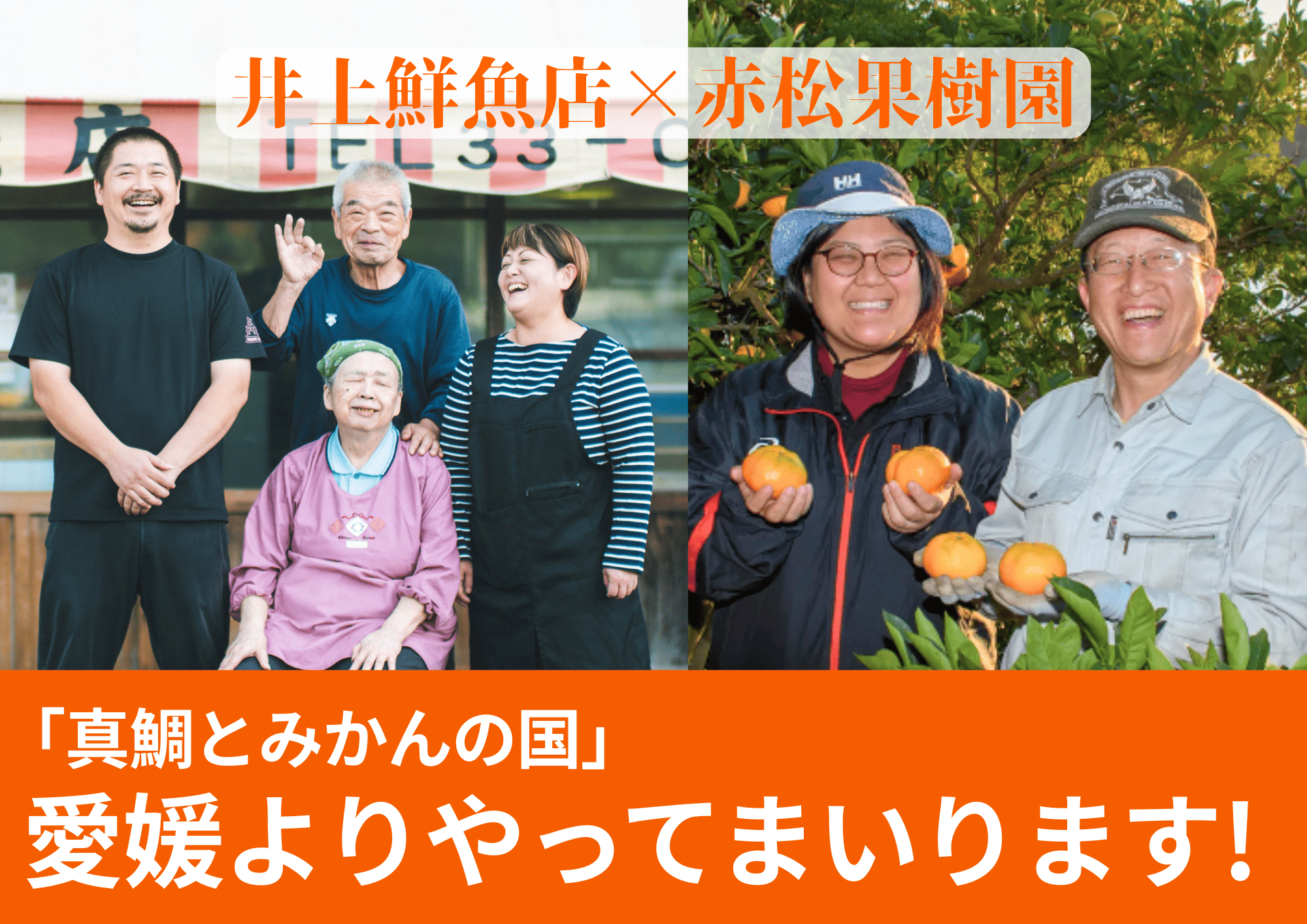 井上鮮魚店
