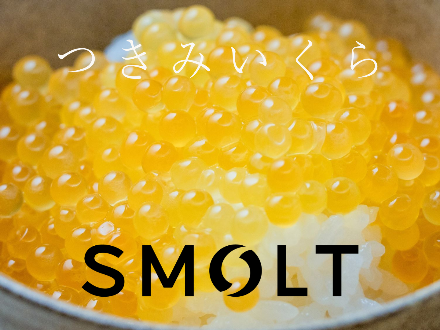 株式会社Smolt