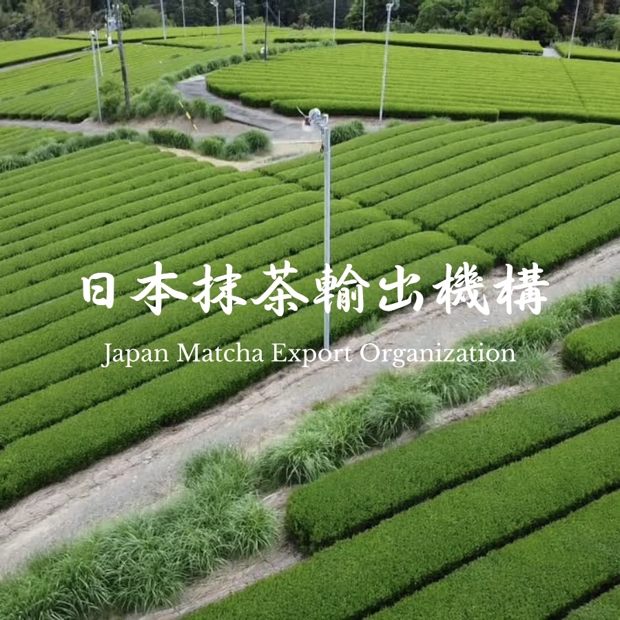 日本抹茶輸出機構株式会社
