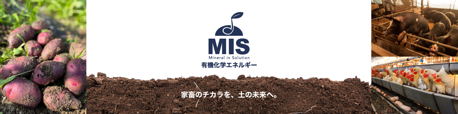 エムアイ・ソリューション株式会社